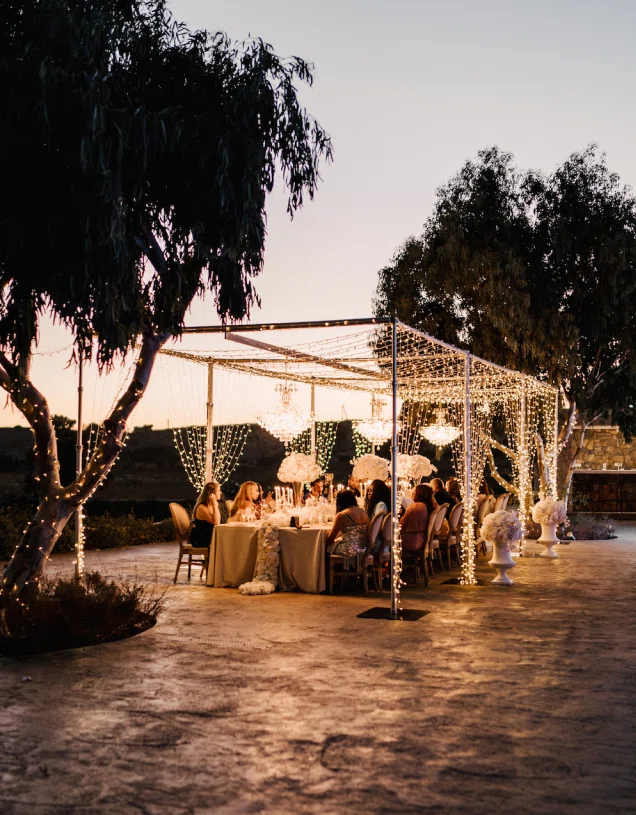 Photo of carousel  Event Catering